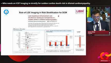 Who needs an ICD? Imaging to stratify for sudden cardiac death risk in dilated cardiomyopathy.