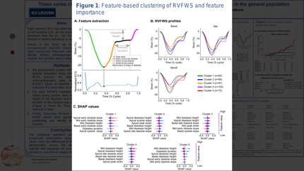 Times series clustering of right ventricular free-wall strain features for risk stratification in the general population