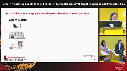 Presentation thumbnail