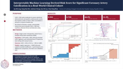 Interpretable machine learning-derived risk score for significant coronary artery calcification in a real-world clinical cohort