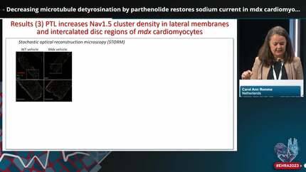 Presentation thumbnail
