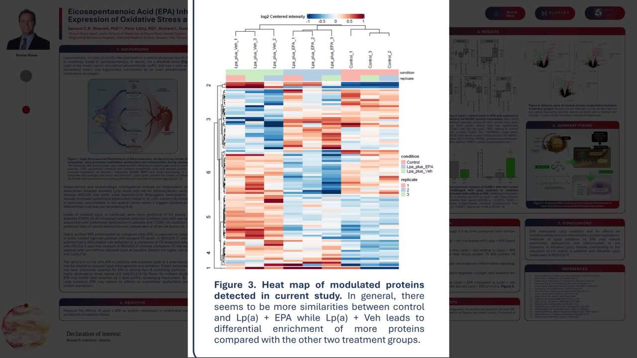 Presentation thumbnail
