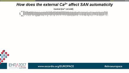 Role of L-type Cav1.3 Ca2+ channels in Ca2+ handling and sinoatrial node pacemaker activity altered by external conditions.