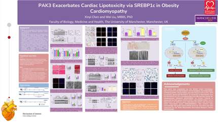 Presentation thumbnail