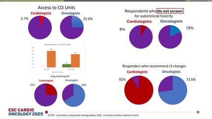 Presentation thumbnail