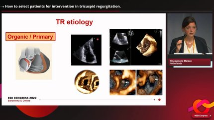 Presentation thumbnail