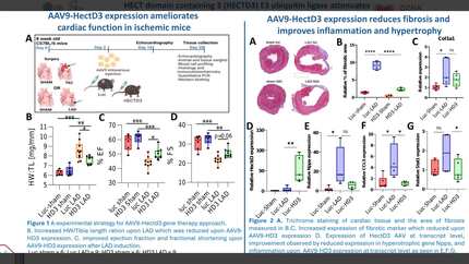 Presentation thumbnail