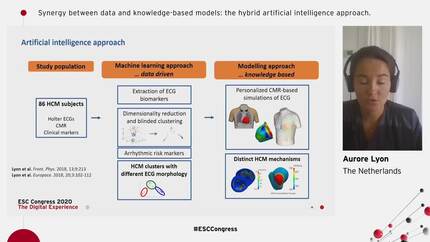 Synergy between data and knowledge-based models: the hybrid artificial intelligence approach.