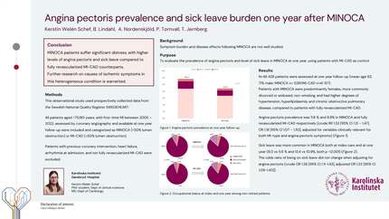 Angina pectoris prevalence and sick leave burden one year after MINOCA