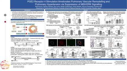 Presentation thumbnail