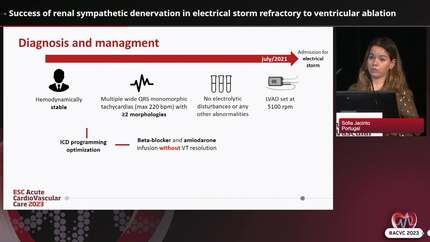 Success of renal sympathetic denervation in electrical storm refractory to ventricular ablation