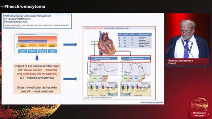 Presentation thumbnail