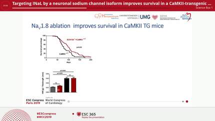 Targeting INaL by a neuronal sodium channel isoform improves survival in a CaMKII-transgenic heart failure mouse model