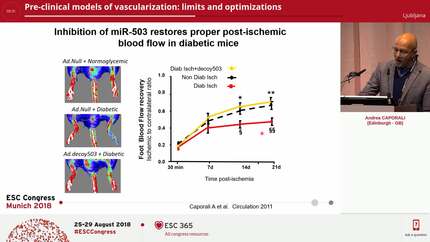 Pre-clinical models of vascularization: limits and optimizations