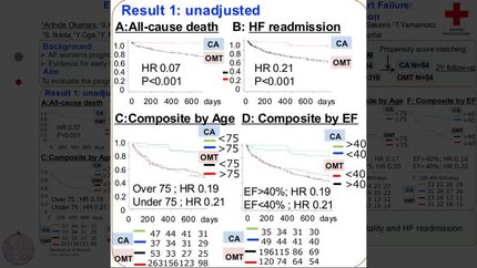 Early catheter ablation for atrial fibrillation in acute heart failure: prognostic impact across age and ejection fraction