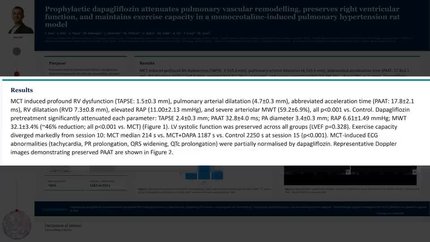 Prophylactic dapagliflozin attenuates pulmonary vascular remodelling, preserves right ventricular function, and maintains exercise capacity in a monocrotaline-induced pulmonary hypertension rat model