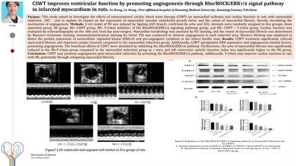 CSWT improves ventricular function by promoting angiogenesis through Rho/ROCK/ERK1/2 signal pathway in infarcted myocardium in rats