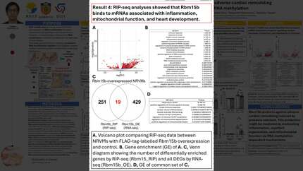 Presentation thumbnail