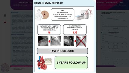 Value of coronary CT Angiography in ruling-out coronary ar-tery disease in elderly patients candidates to TAVI