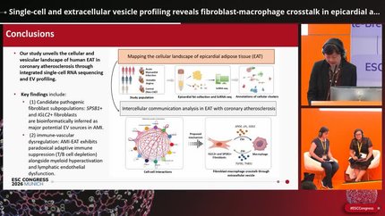Single-cell and extracellular vesicle profiling reveals fibroblast-macrophage crosstalk in epicardial adipose tissue during acute myocardial infarction
