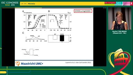 Presentation thumbnail