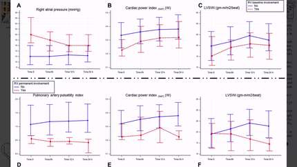 Presentation thumbnail
