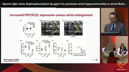 Presentation thumbnail