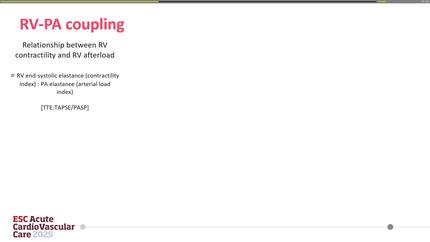 Presentation thumbnail