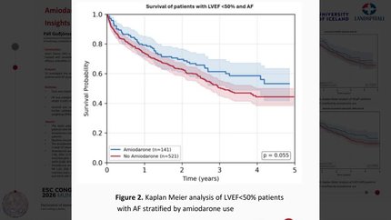 Amiodarone and survival in heart failure patients with atrial fibrillation: insights from the Icelandic Heart Failure registry