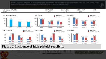 Impact of kidney function, ticagrelor and genetic polymorphism on high platelet reactivity 