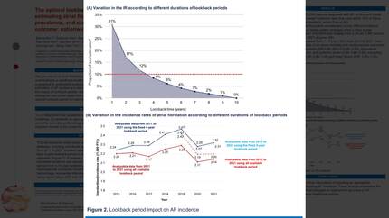 The optimal lookback period for estimating atrial fibrillation incidence, prevalence, and cardiovascular outcome: nationwide AF registry