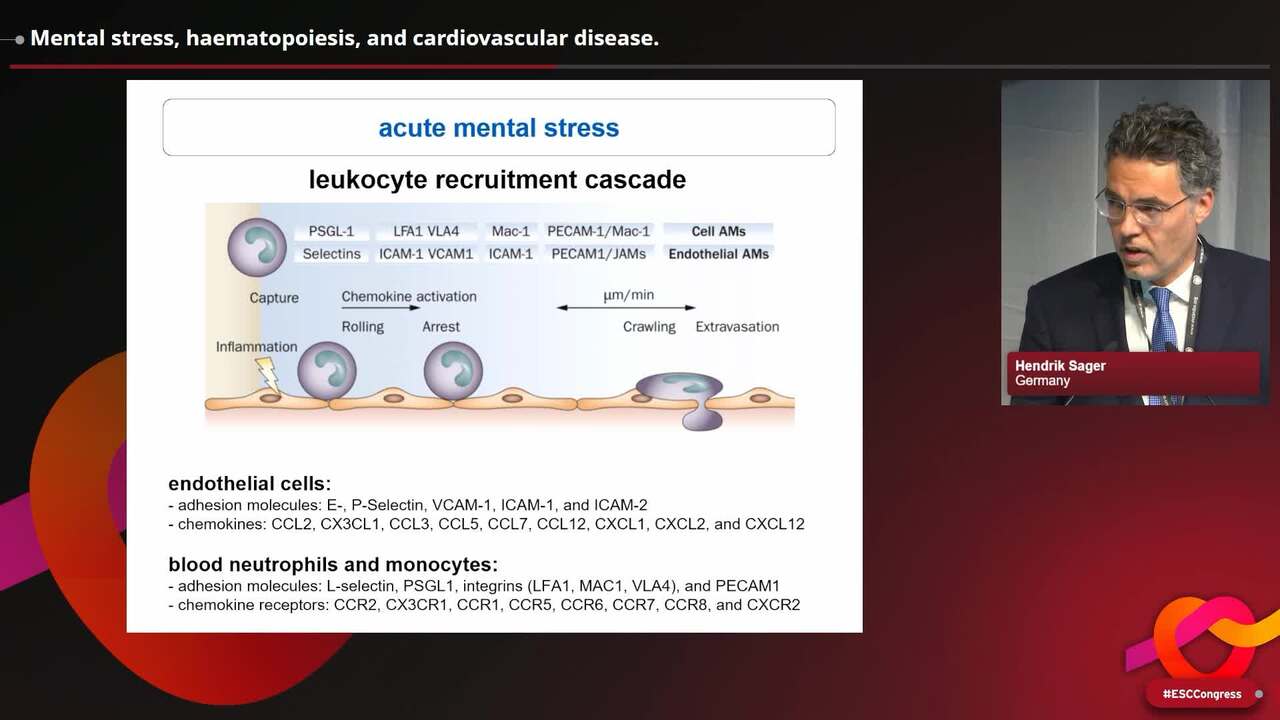 Mental stress, haematopoiesis, and cardiovascular disease.