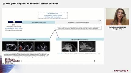 Presentation thumbnail