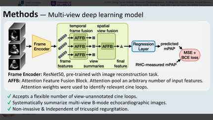 Presentation thumbnail