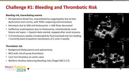 Presentation thumbnail