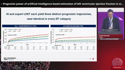 Prognostic power of artificial intelligence based estimation of left ventricular ejection fraction in standard and point-of-care echocardiography