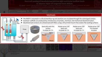 Presentation thumbnail