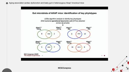 Presentation thumbnail