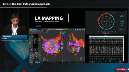 Live-in-the-Box: what’s new in persistent atrial fibrillation ablation