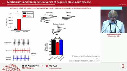 Mechanisms and therapeutic reversal of acquired sinus node disease.