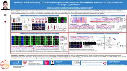 Presentation thumbnail