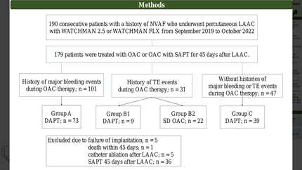 Presentation thumbnail