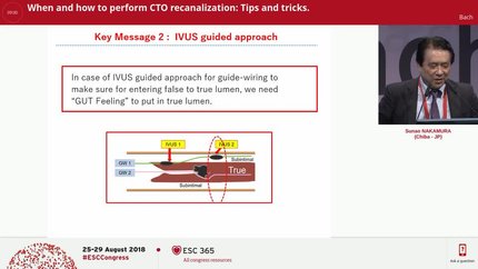 When and how to perform CTO recanalization: Tips and tricks.