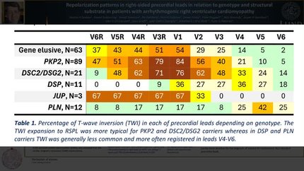 Repolarization patterns in right-sided precordial leads in relation to genotype and structural substrate in patients with arrhythmogenic right ventricular cardiomyopathy