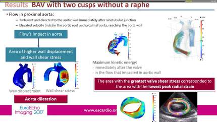 Presentation thumbnail