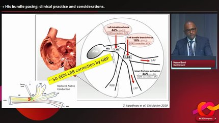Presentation thumbnail