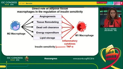 Immunometabolic phenotyping of macrophages