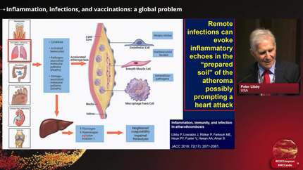 Presentation thumbnail