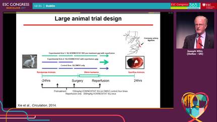 Presentation thumbnail