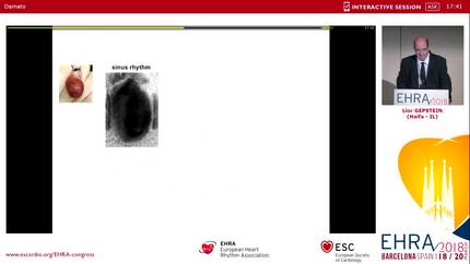Presentation thumbnail